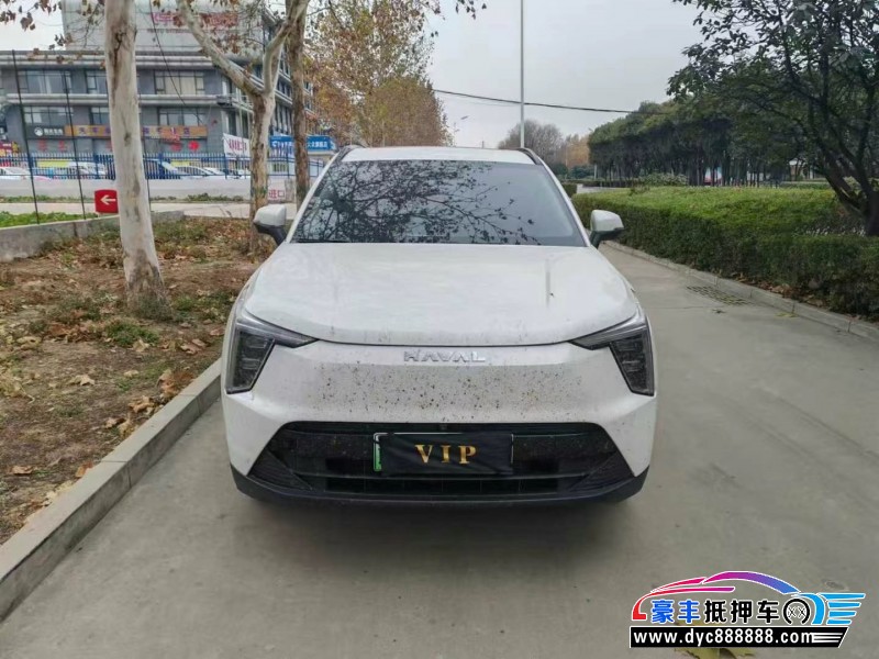 24年长城哈佛枭龙轿车抵押车出售