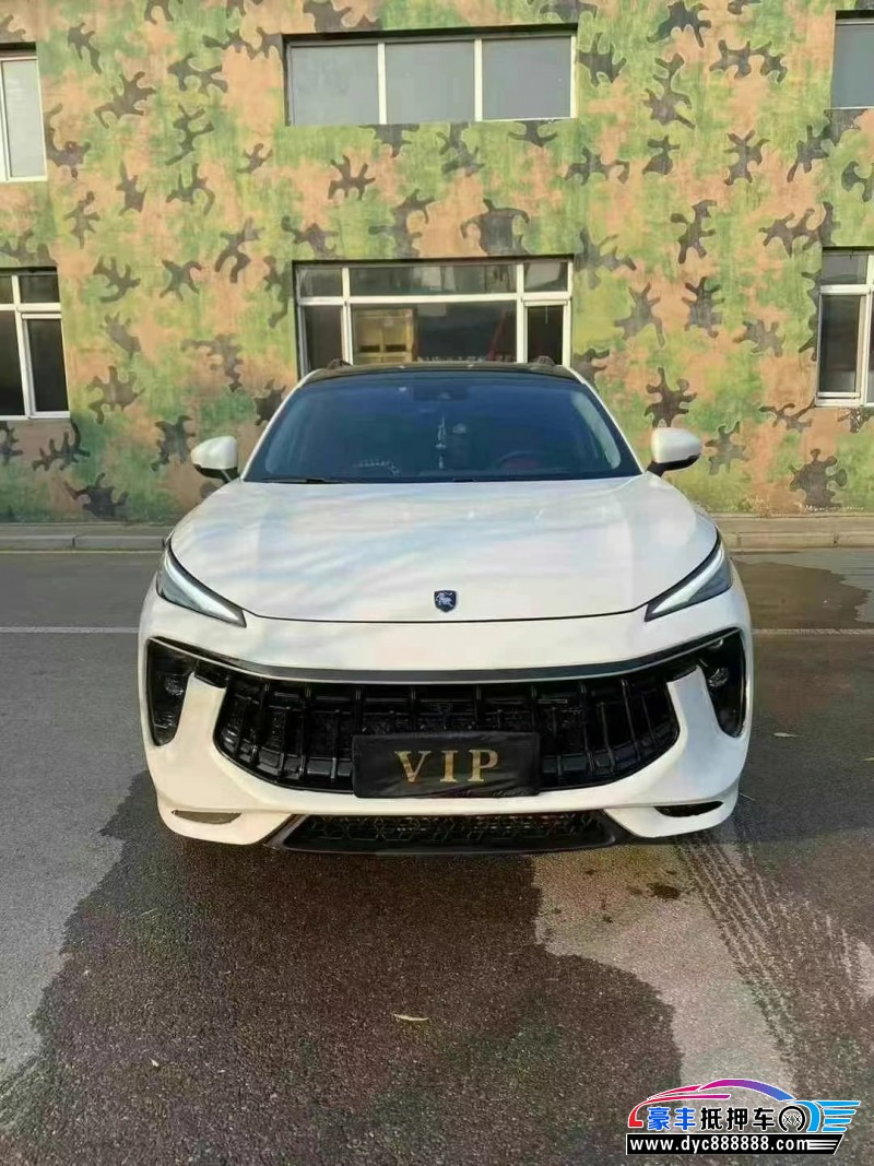 23年东风风行T5轿车抵押车出售