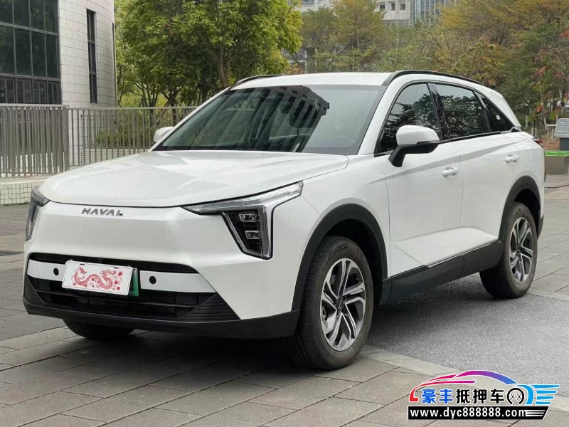 24年长城哈佛枭龙轿车抵押车出售