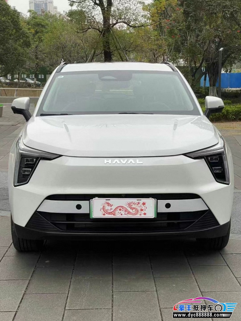 24年长城哈佛枭龙轿车抵押车出售