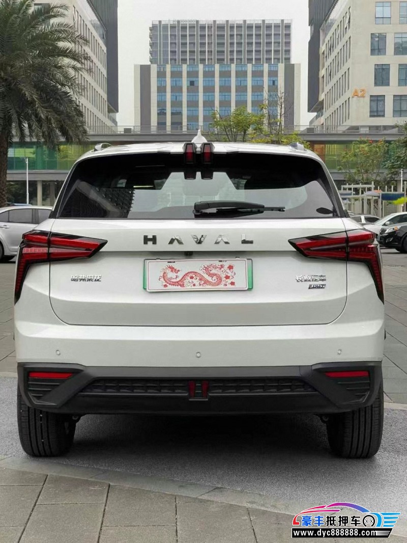 24年长城哈佛枭龙轿车抵押车出售