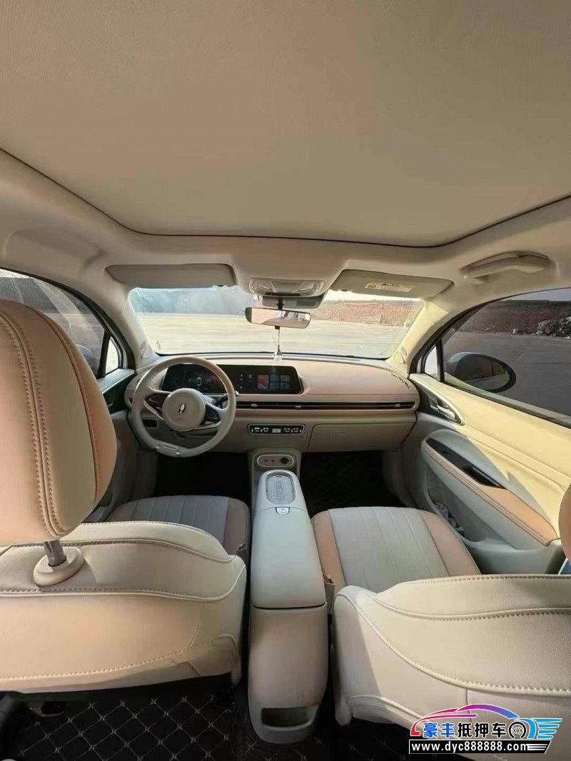 24年欧拉好猫轿车抵押车出售