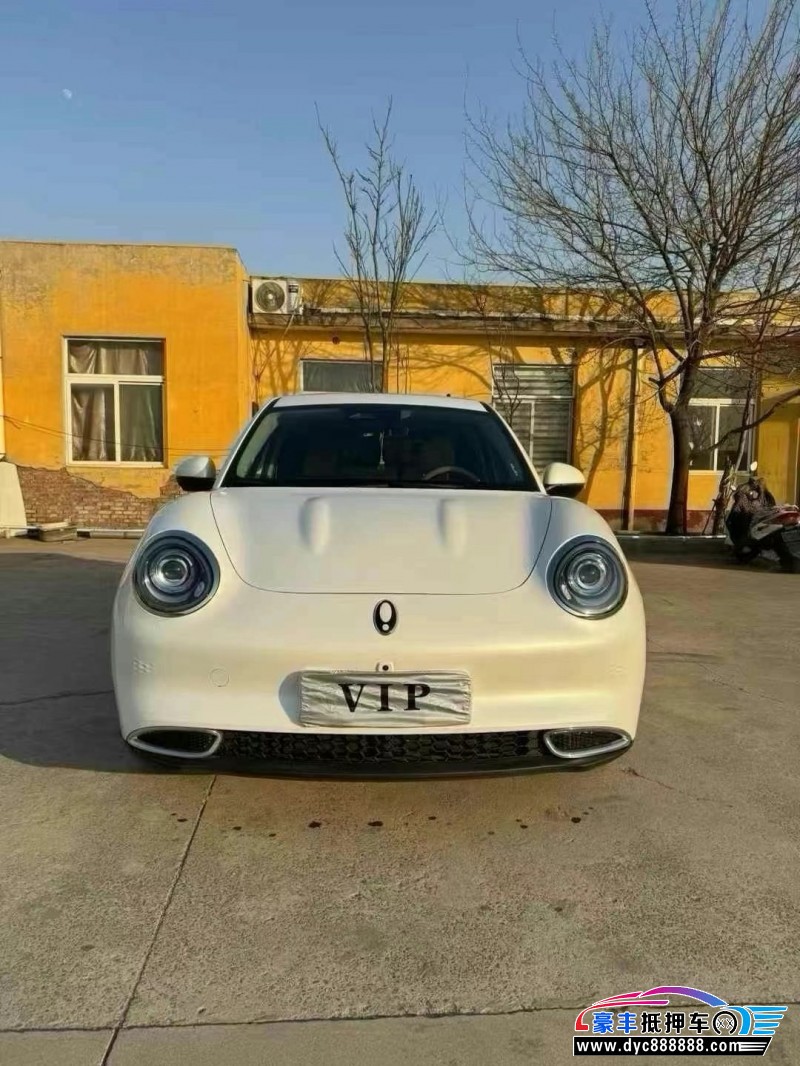 24年欧拉好猫轿车抵押车出售