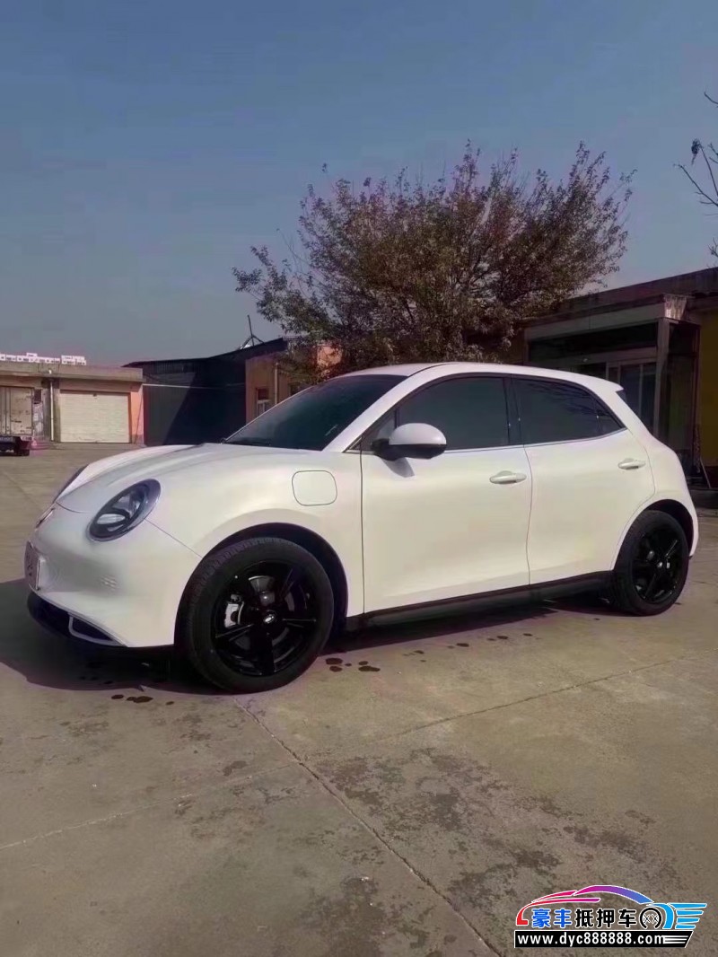 24年欧拉好猫轿车抵押车出售