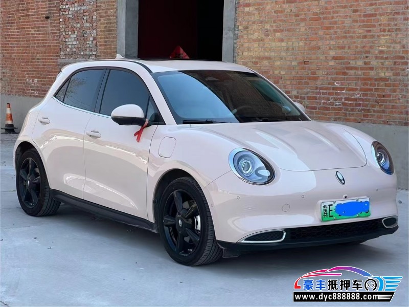 24年欧拉好猫轿车抵押车出售