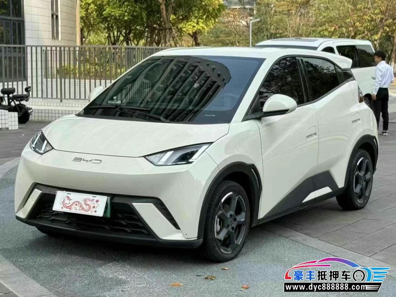 23年比亚迪海鸥轿车抵押车出售