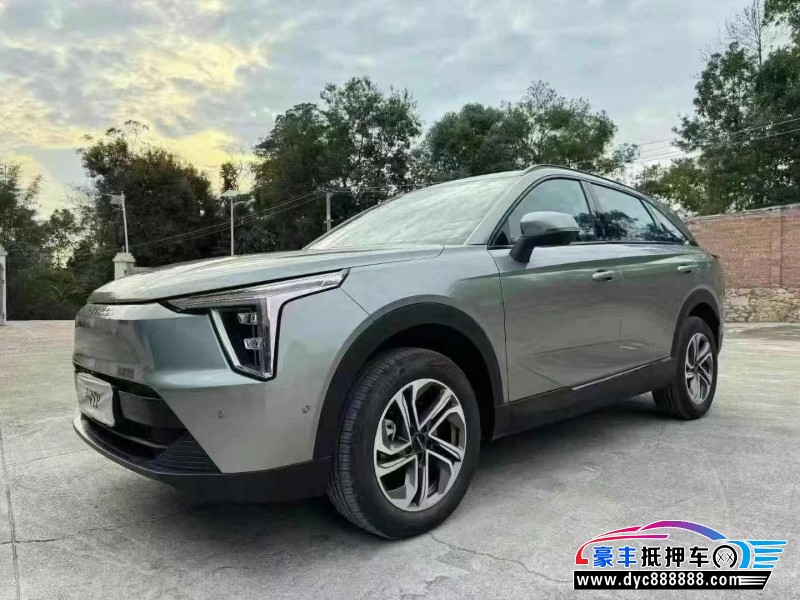 24年长城哈佛枭龙轿车抵押车出售