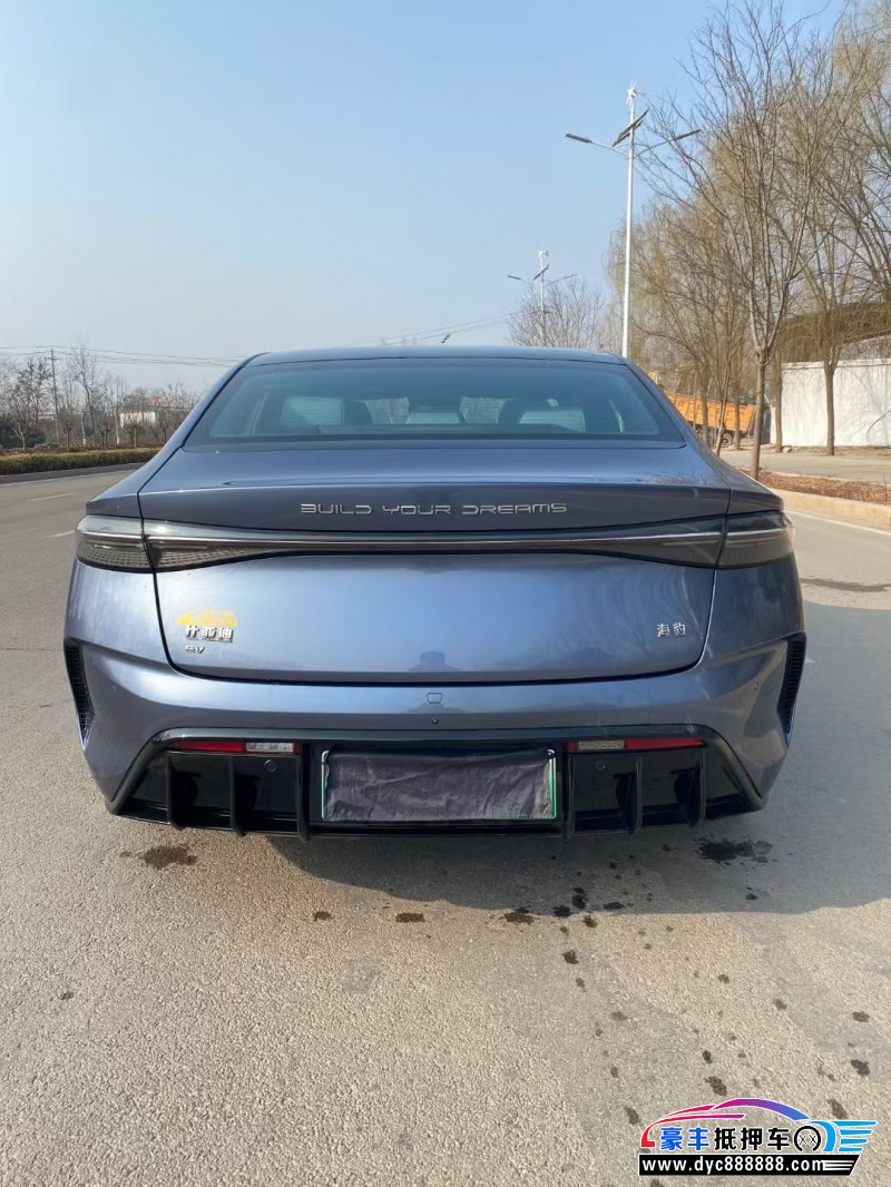 24年比亚迪海豹轿车抵押车出售