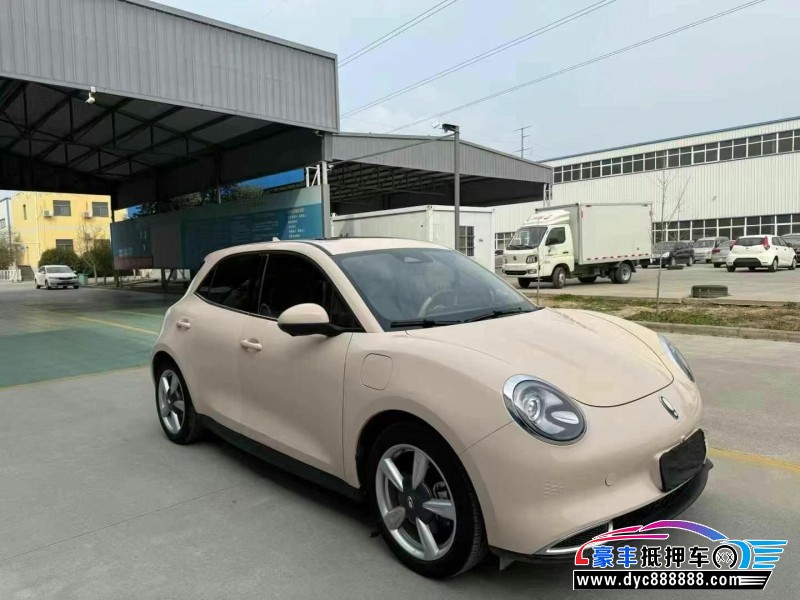 23年欧拉好猫轿车抵押车出售