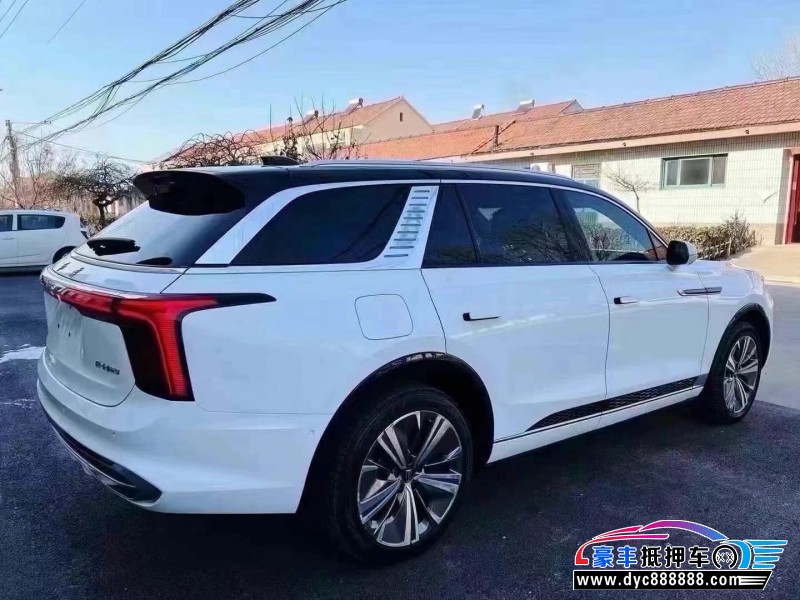 21年红旗E-HS9轿车抵押车出售