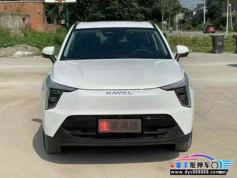 24年长城哈佛枭龙轿车抵押车出售