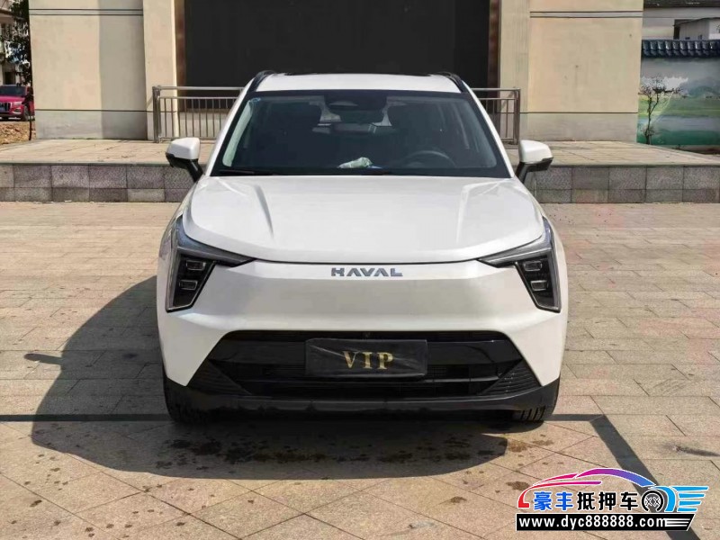 24年长城哈佛枭龙轿车抵押车出售