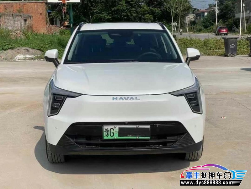 23年长城哈佛枭龙轿车抵押车出售