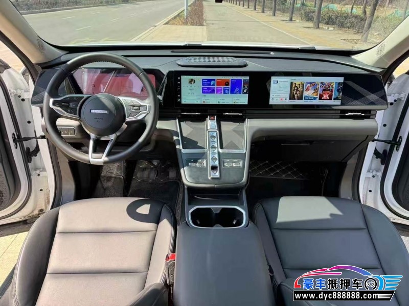 24年长城哈佛枭龙轿车抵押车出售