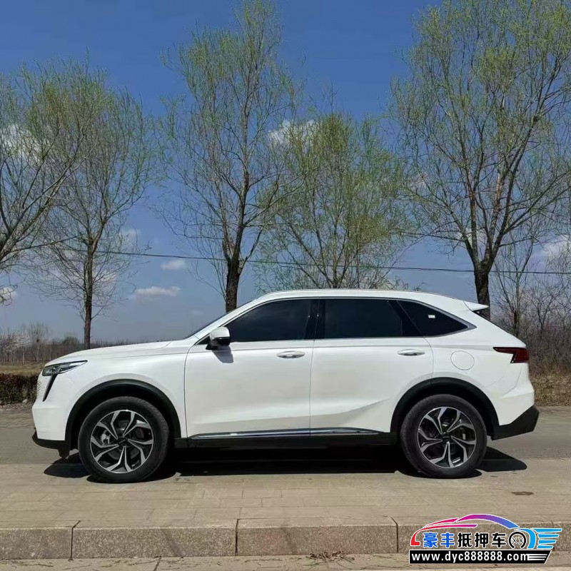 24年长城哈佛枭龙轿车抵押车出售