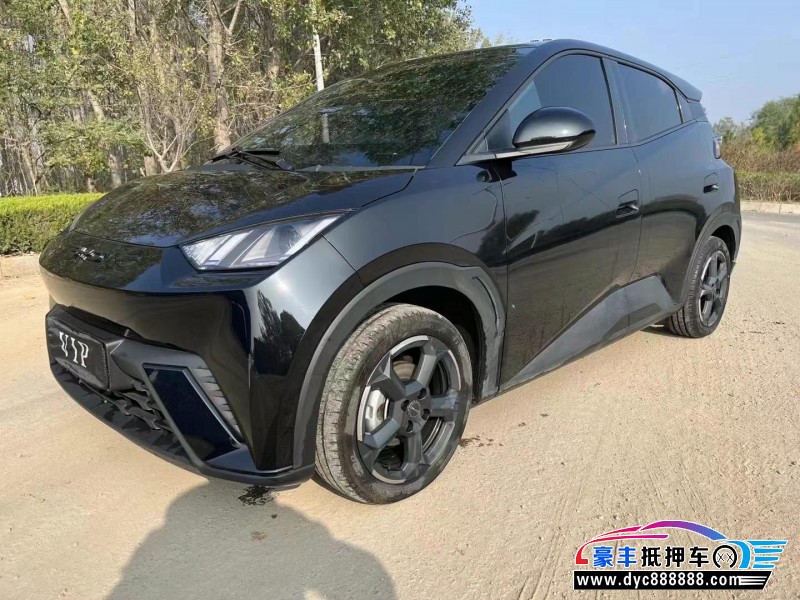 23年比亚迪海鸥轿车抵押车出售