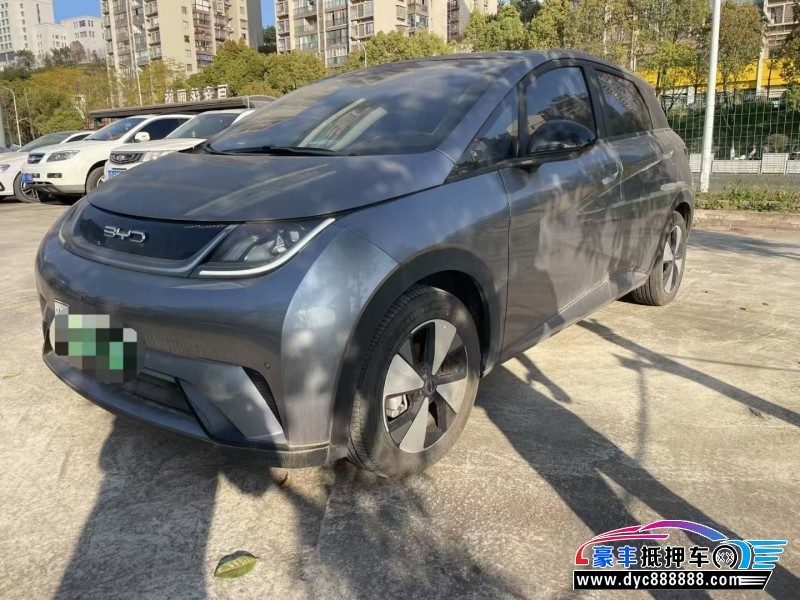 23年比亚迪海豚轿车抵押车出售