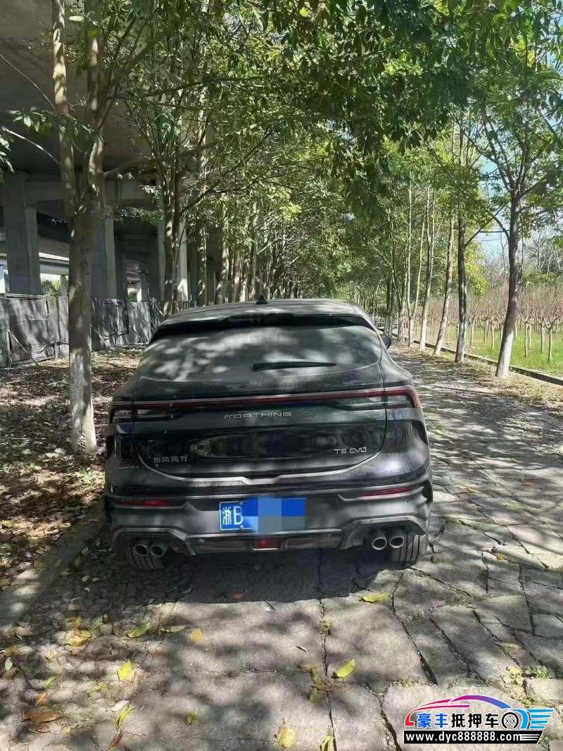 24年东风风行T5轿车抵押车出售