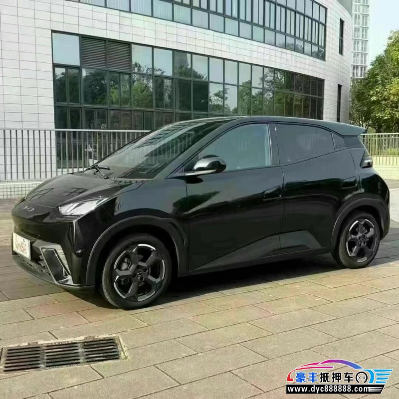 23年比亚迪海鸥轿车抵押车出售