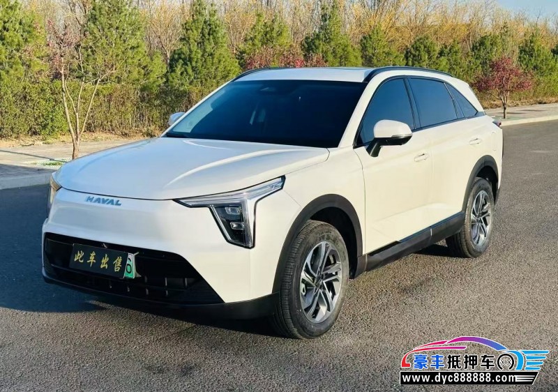 24年长城哈佛枭龙SUV抵押车出售