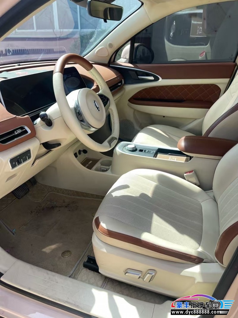 22年欧拉好猫轿车抵押车出售