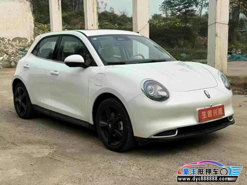 24年欧拉好猫轿车抵押车出售