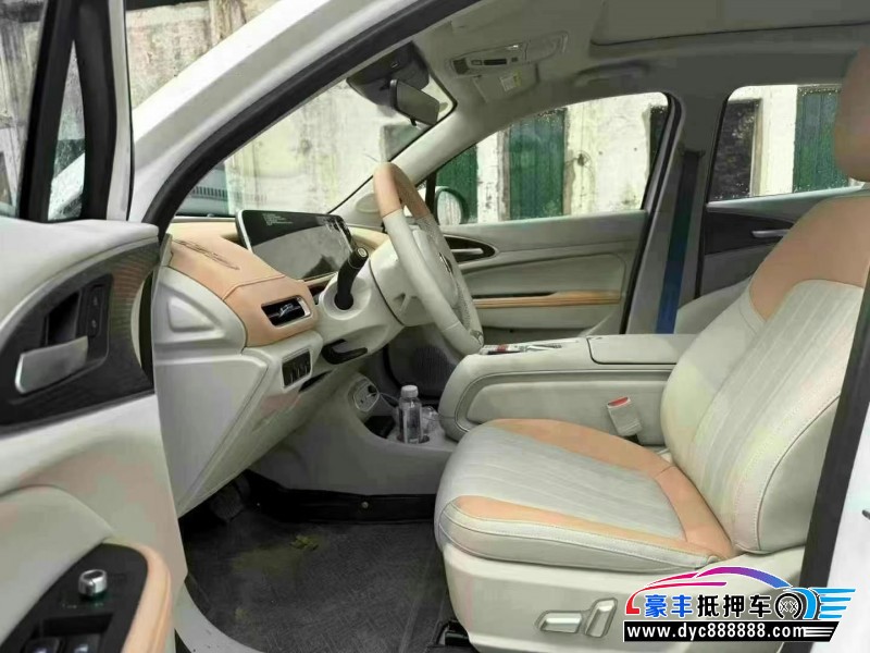 24年欧拉好猫轿车抵押车出售