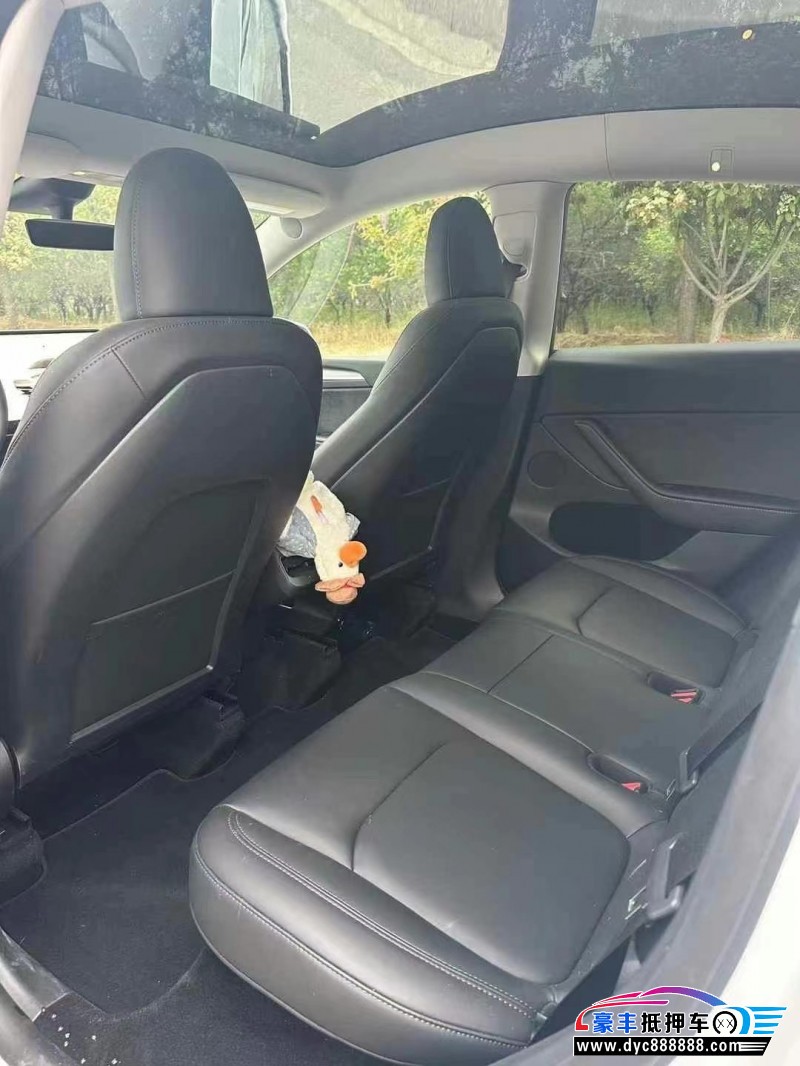 24年特斯拉Model Y轿车抵押车出售