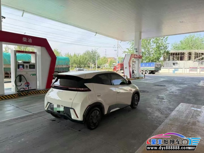 24年比亚迪海鸥轿车抵押车出售