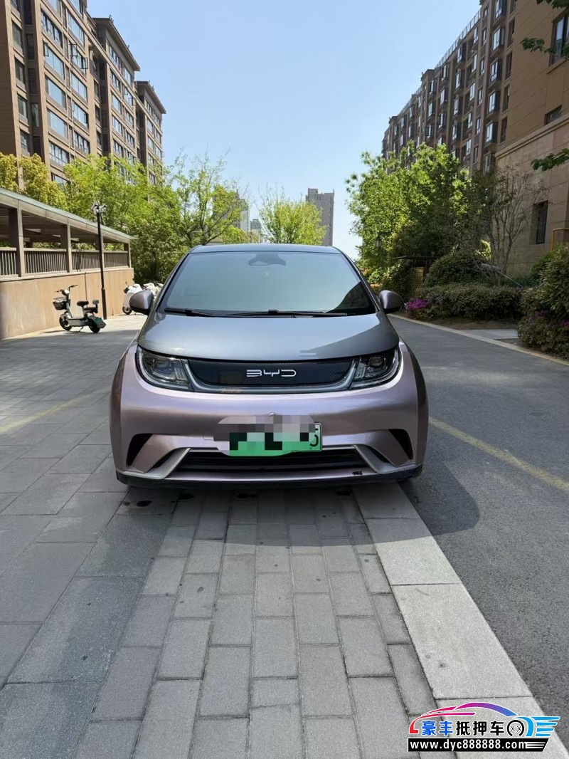 22年比亚迪海豚轿车抵押车出售