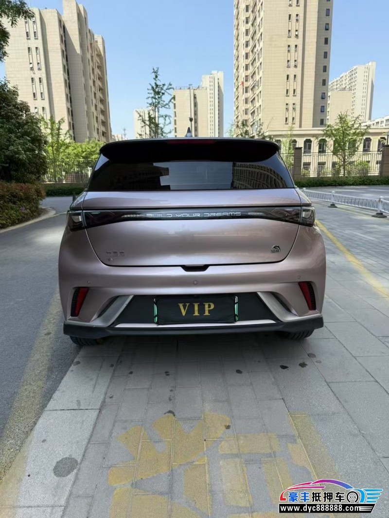 22年比亚迪海豚轿车抵押车出售