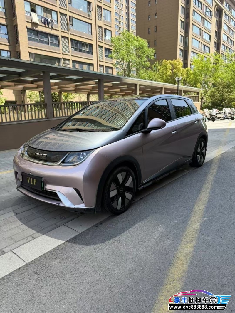 22年比亚迪海豚轿车抵押车出售