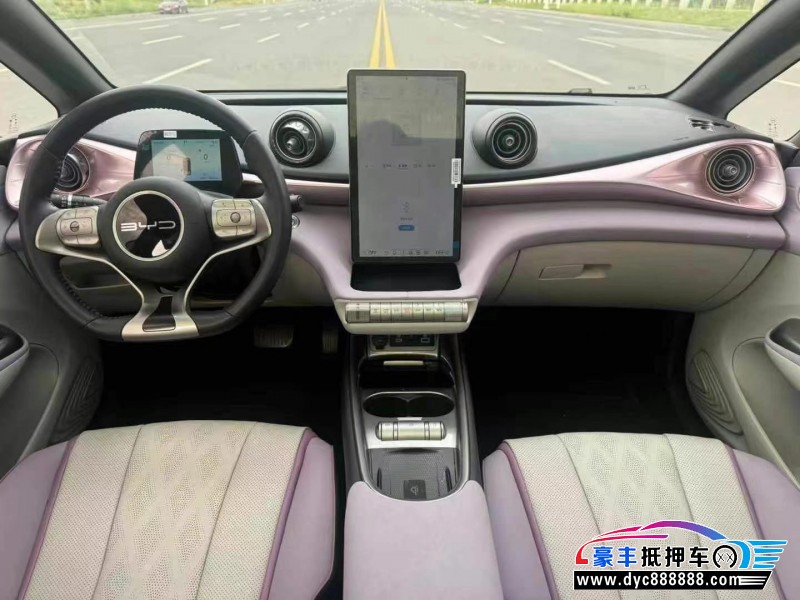 24年比亚迪海豚轿车抵押车出售