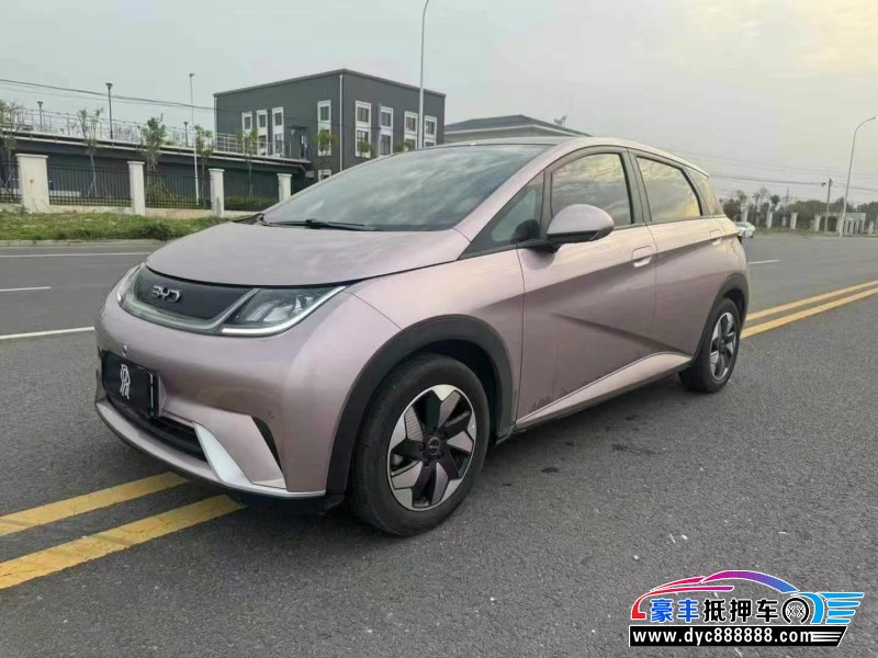 24年比亚迪海豚轿车抵押车出售