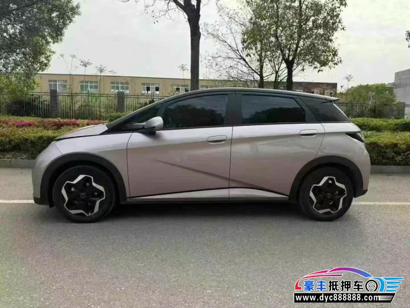 22年比亚迪海豚轿车抵押车出售