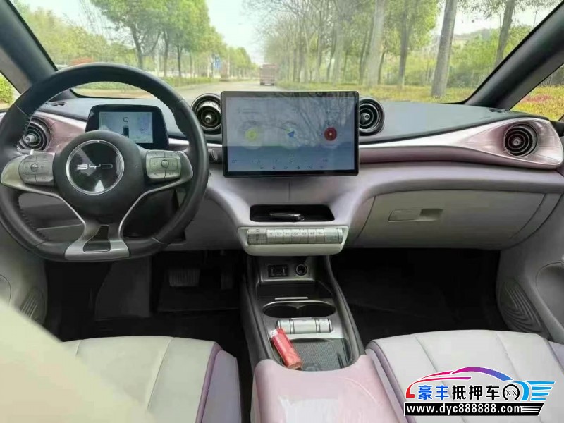 22年比亚迪海豚轿车抵押车出售