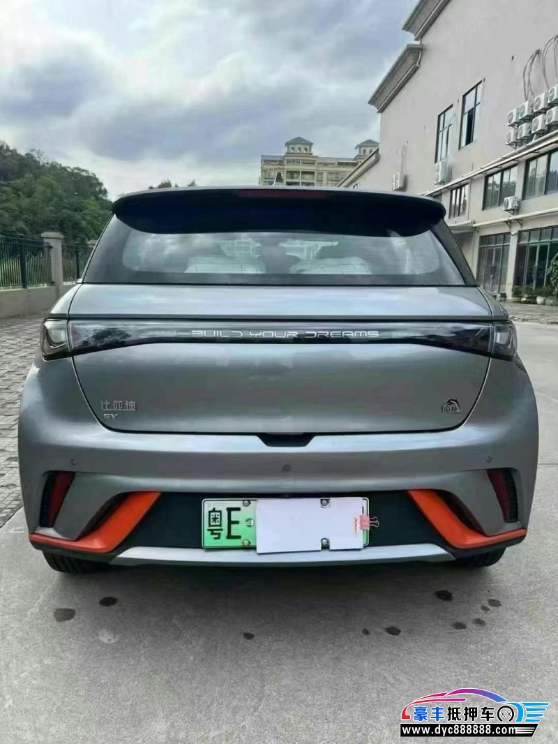 22年比亚迪海豚轿车抵押车出售