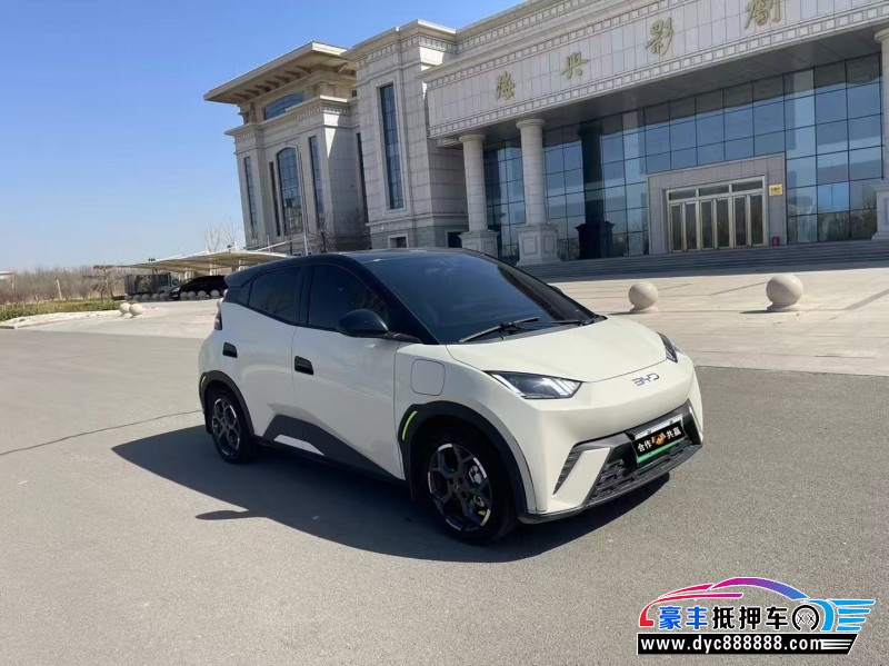 24年比亚迪海鸥轿车抵押车出售