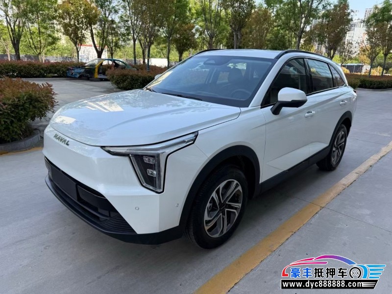 24年长城哈佛枭龙轿车抵押车出售