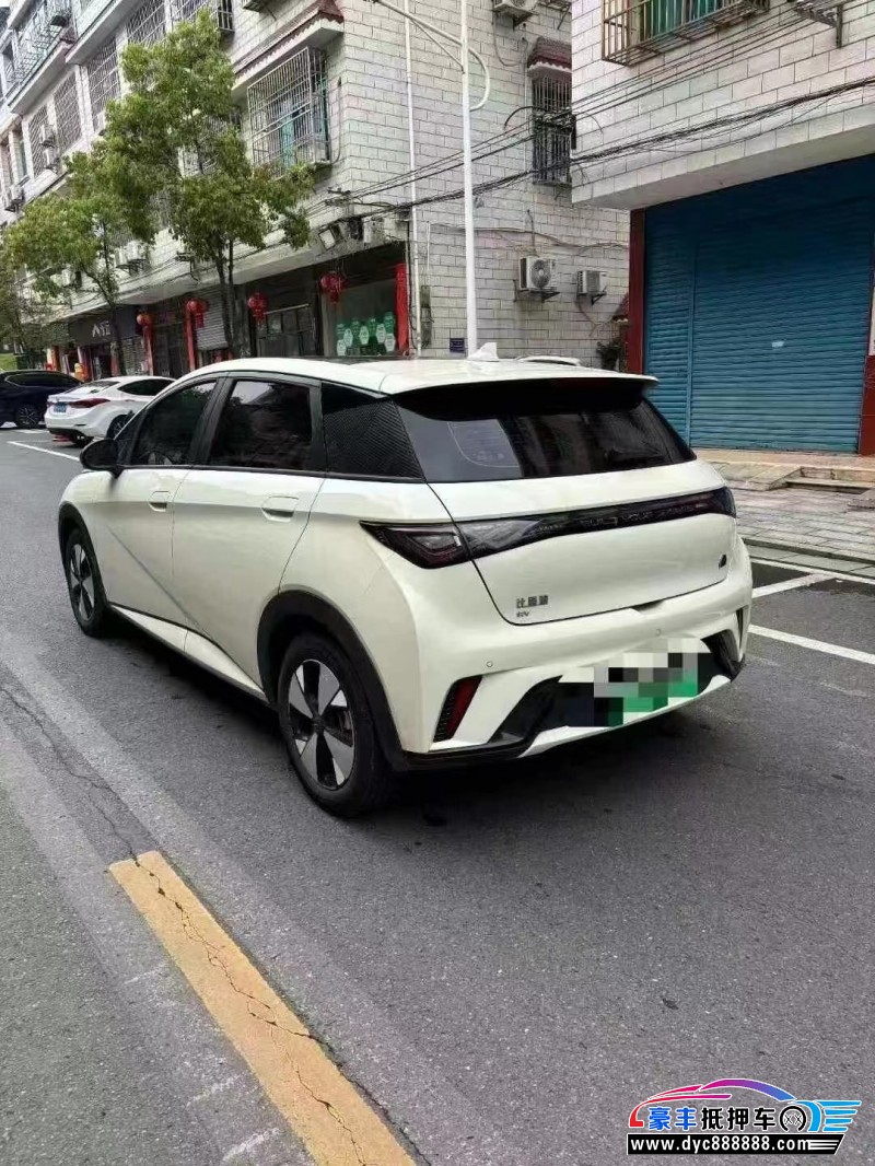 23年比亚迪海豚轿车抵押车出售