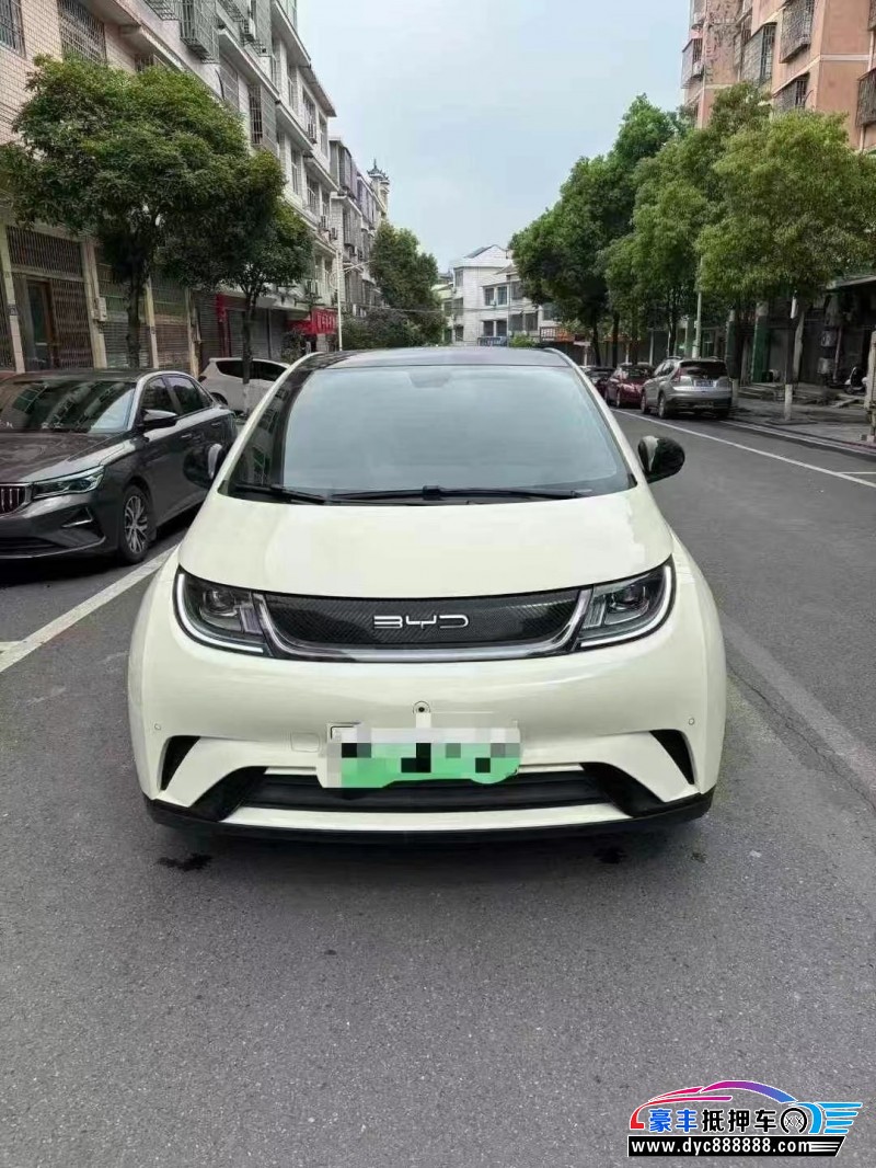 23年比亚迪海豚轿车抵押车出售