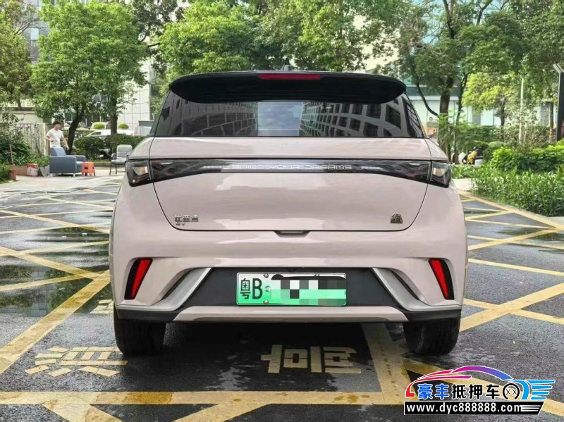 22年比亚迪海豚轿车抵押车出售