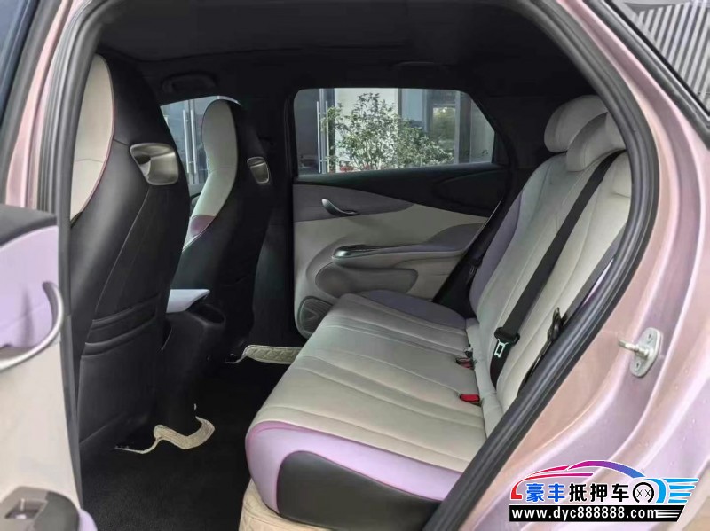 22年比亚迪海豚轿车抵押车出售