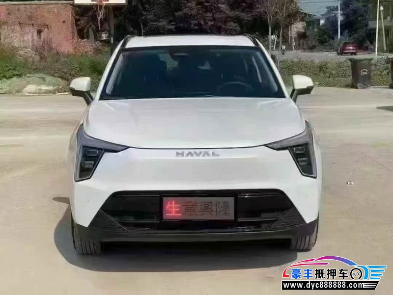 24年长城哈佛枭龙轿车抵押车出售