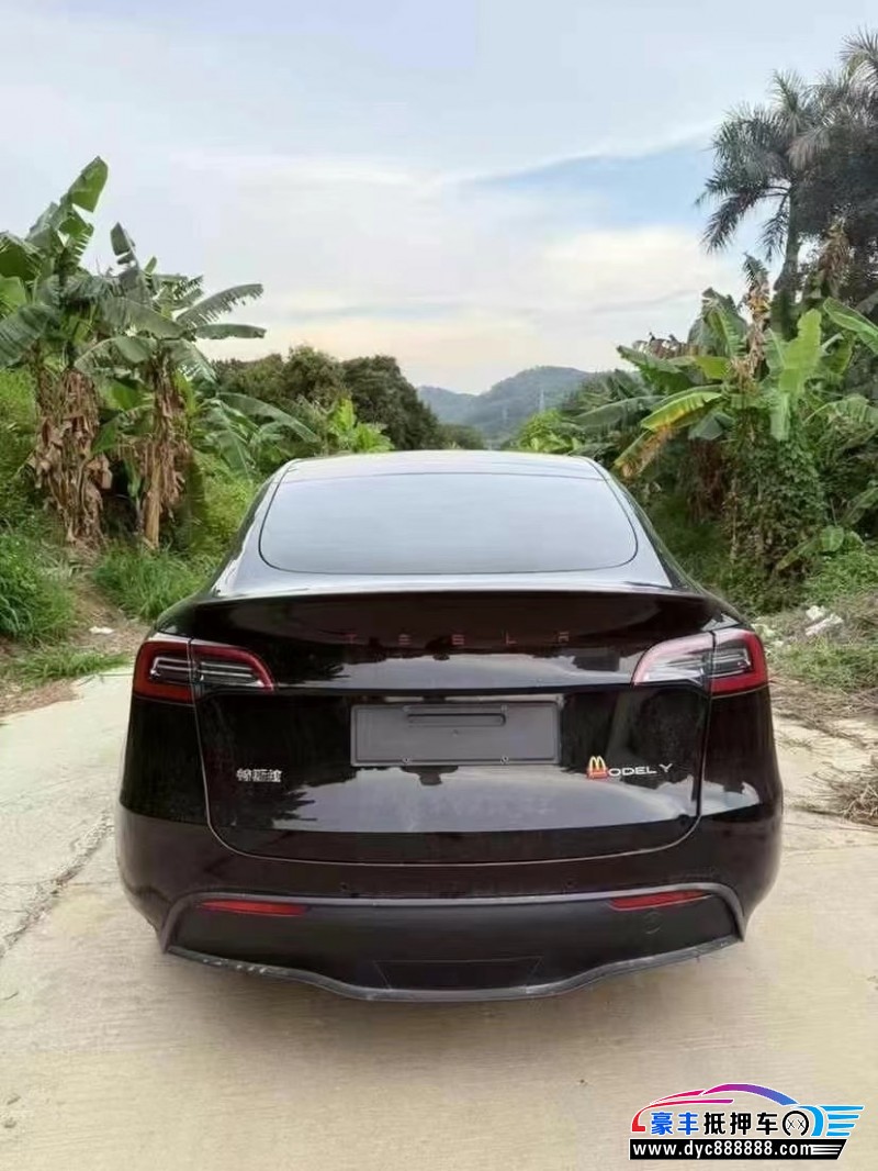23年特斯拉Model Y轿车抵押车出售