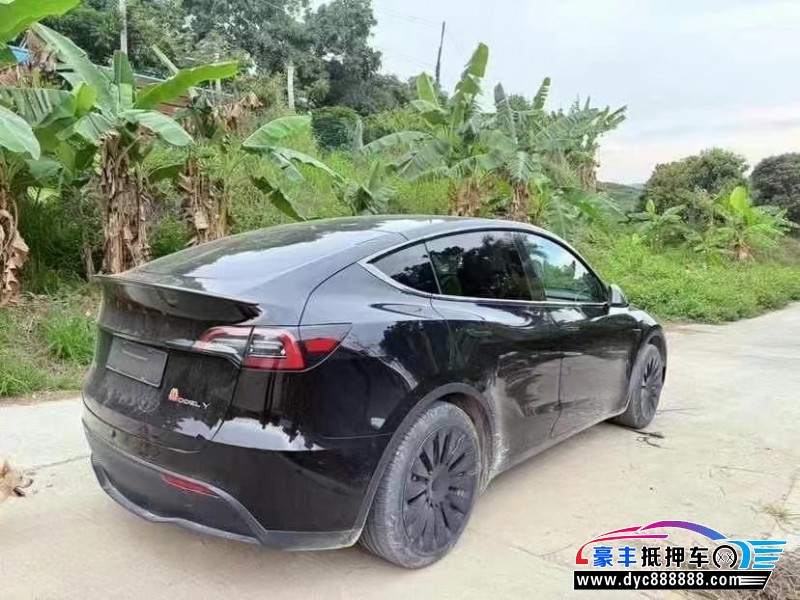 23年特斯拉Model Y轿车抵押车出售