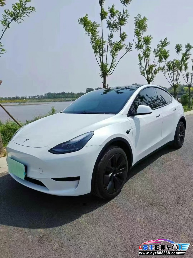 24年特斯拉Model Y轿车抵押车出售