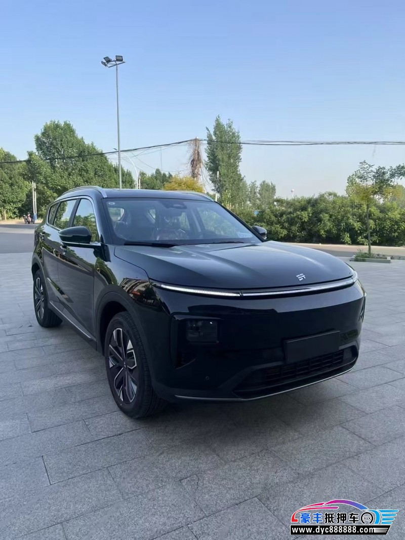 25年捷途山海L9轿车抵押车出售