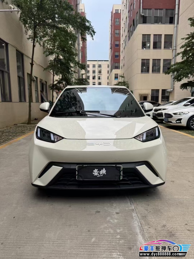 24年比亚迪海鸥轿车抵押车出售