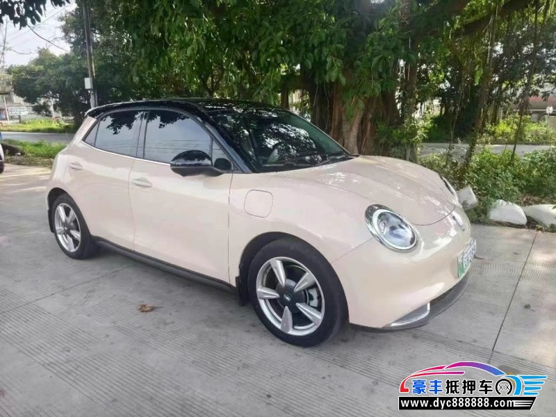 22年欧拉好猫轿车抵押车出售